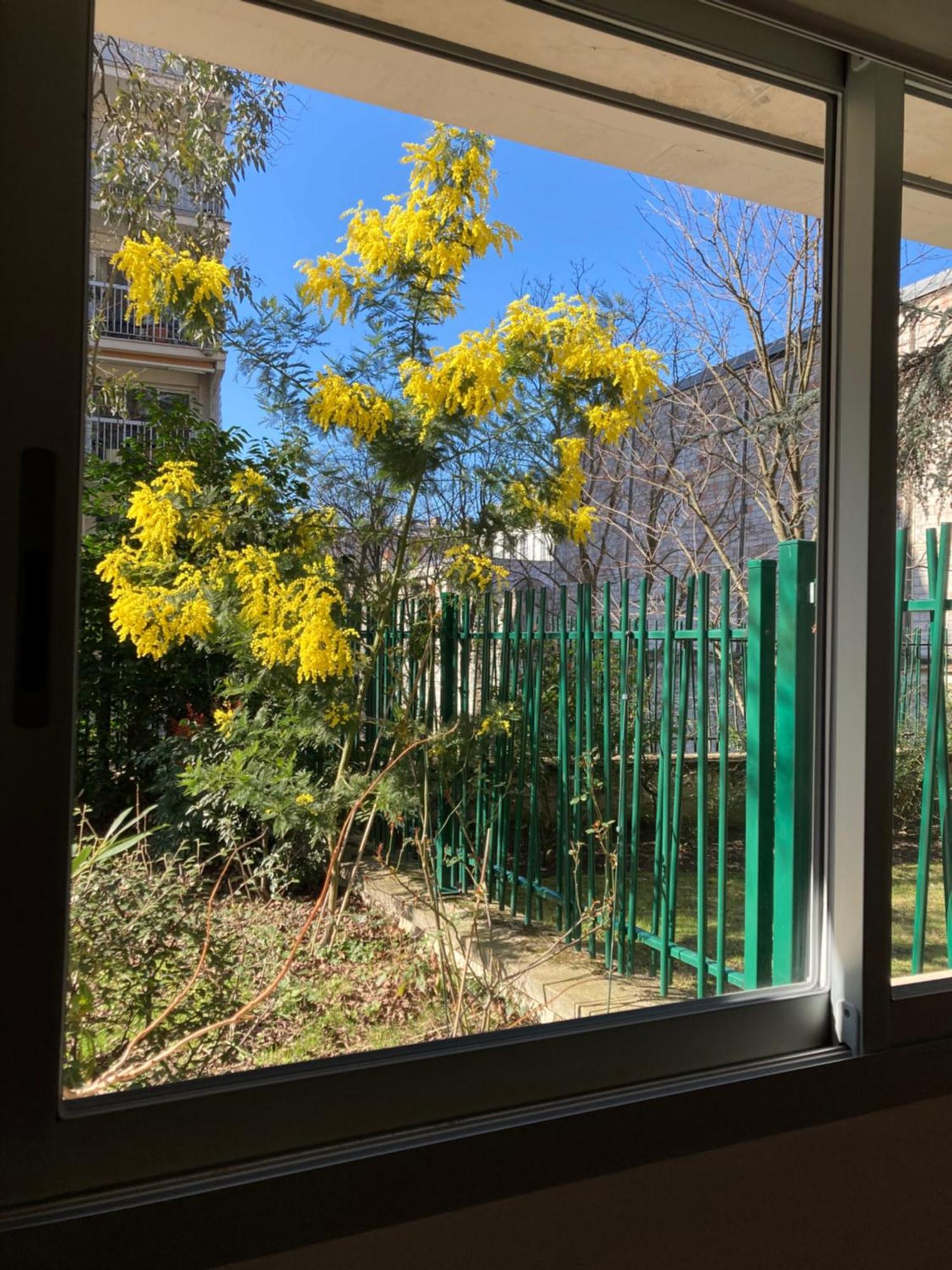Vue Sur Jardin, 3 Pieces Paris Exterior foto